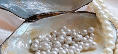 Тайны подводного сада: Как выращивают жемчуг и создают чудо под водой